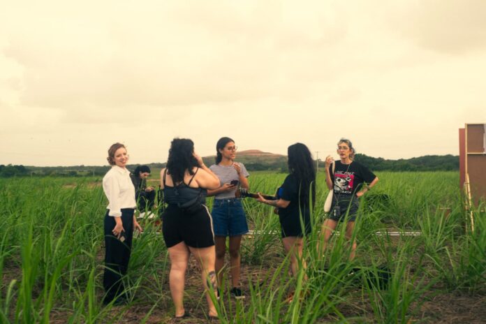 Curta potiguar usa cenário às margens da BR-101 para discutir a mentira e o cinema